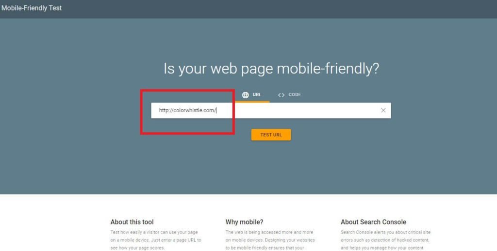 Local SEO For Brands – Beyond ORM And Lead Generation! (Homepage Screenshot of Google Mobile Testing Tool) - ColorWhistle