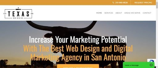Texas Web Development, and Texas Marketing Agencies (Texas Web Design) - ColorWhistle