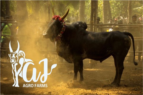 AJ-Agro-Farm logo-design-portfolio - Logo Design Company Mockup by ColorWhistle AJ-Agro-Farm logo-design-portfolio - Logo Design Company Mockup by ColorWhistle