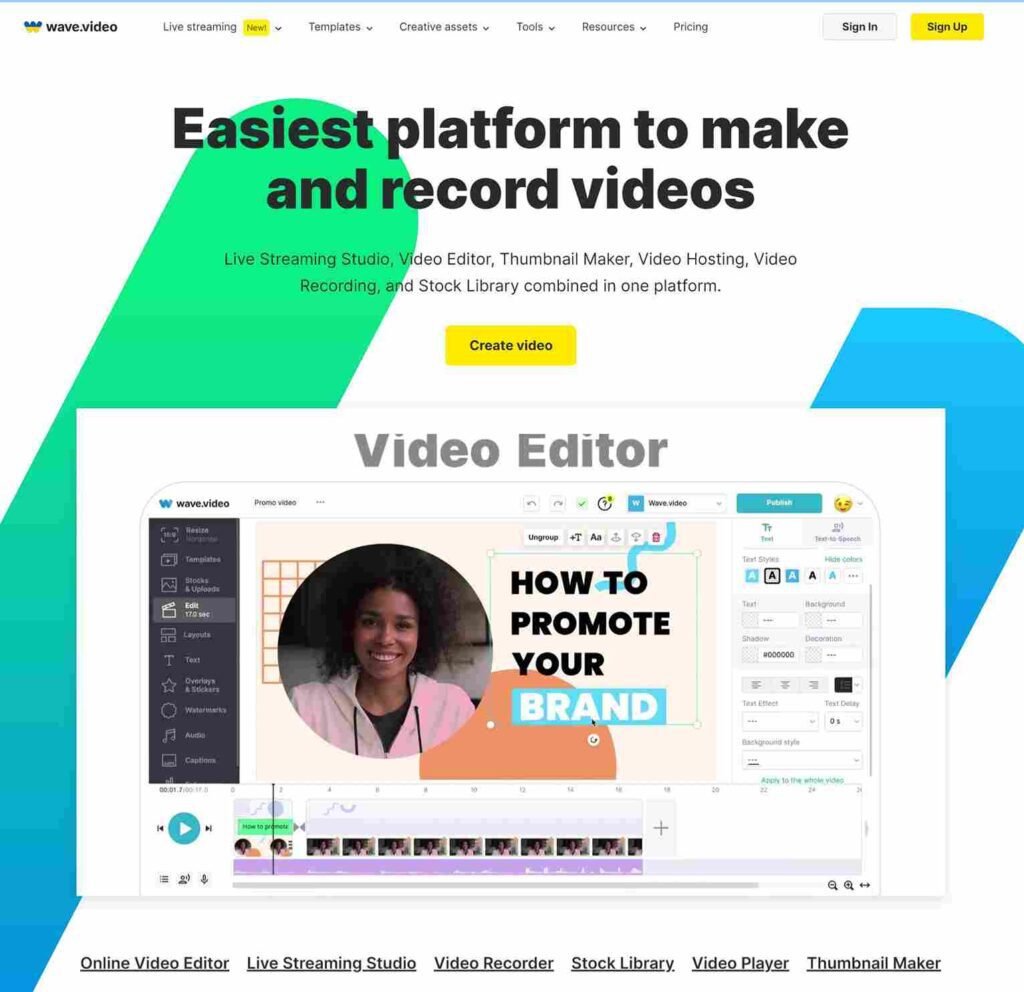 Best video marketing software (editing softwares) - Wave Video - ColorWhistle