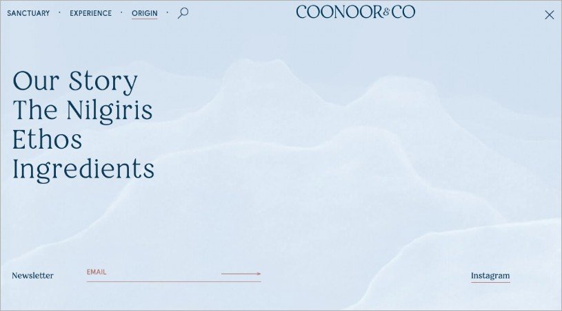 Coonoor-and-co-website-development-portfolio-custom-menu Coonoor-and-co-website-development-portfolio-custom-menu