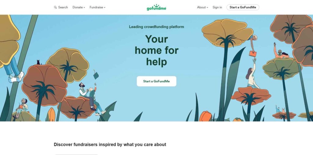 Website Types - Crowdfunding Website design - GoFundMe - Colorwhistle