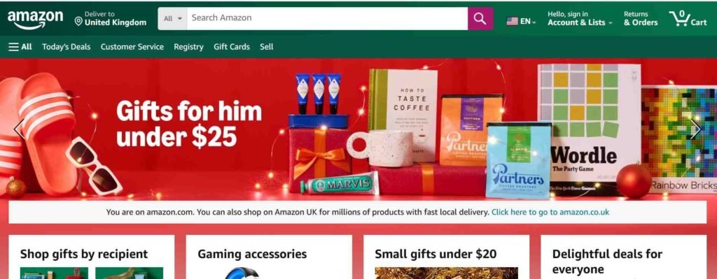 Website Types - E-commerce Websites design - Amazon - Colorwhistle