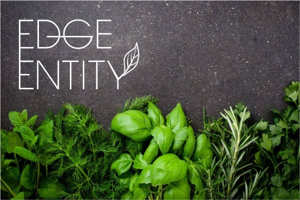 Edge Entity-logo-design - Logo Design Mockup by ColorWhistle Edge Entity-logo-design - Logo Design Mockup by ColorWhistle
