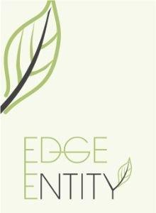 Logo Design for Edge Entiry Logo Design for Edge Entiry