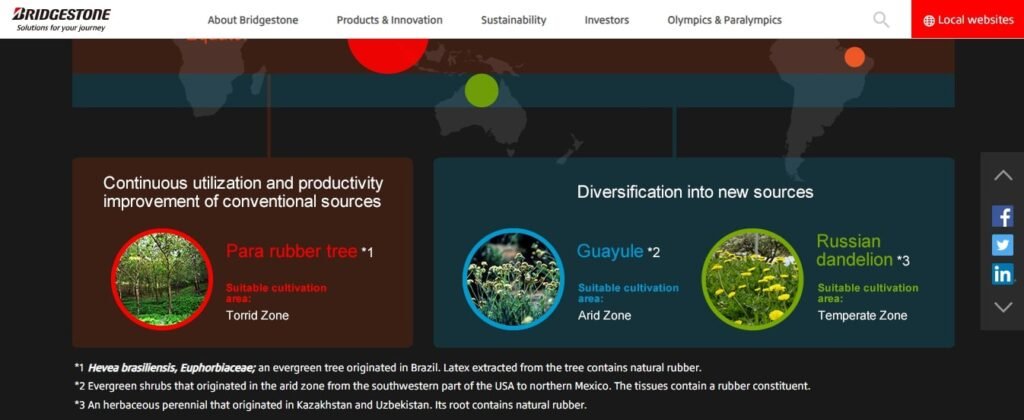 How Technology is Transforming the Tire Industry - The Digital Tire Revolution (Bridgestone - Natural resources) - ColorWhistle