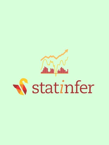 Logo Design for Statinfer