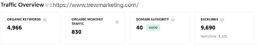 Manufacturing and engineering digital marketing agencies in Canada (Trewmarketing traffic-overview)- ColorWhistle
