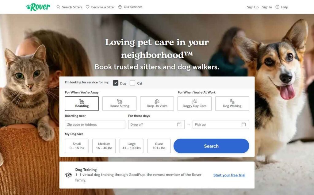Website Types - Pet Care Website design - Rover - Colorwhistle