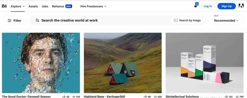 Website Types - Portfolio Website design - Behance - Colorwhistle