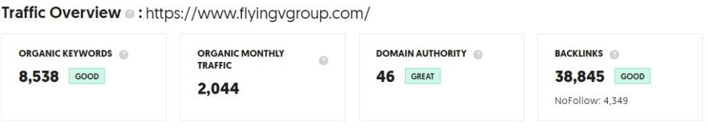 Real Estate Digital Marketing Agencies in the USA(Flying V Group Traffic) - ColorWhistle