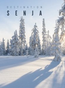 Website Development for Senja Destination