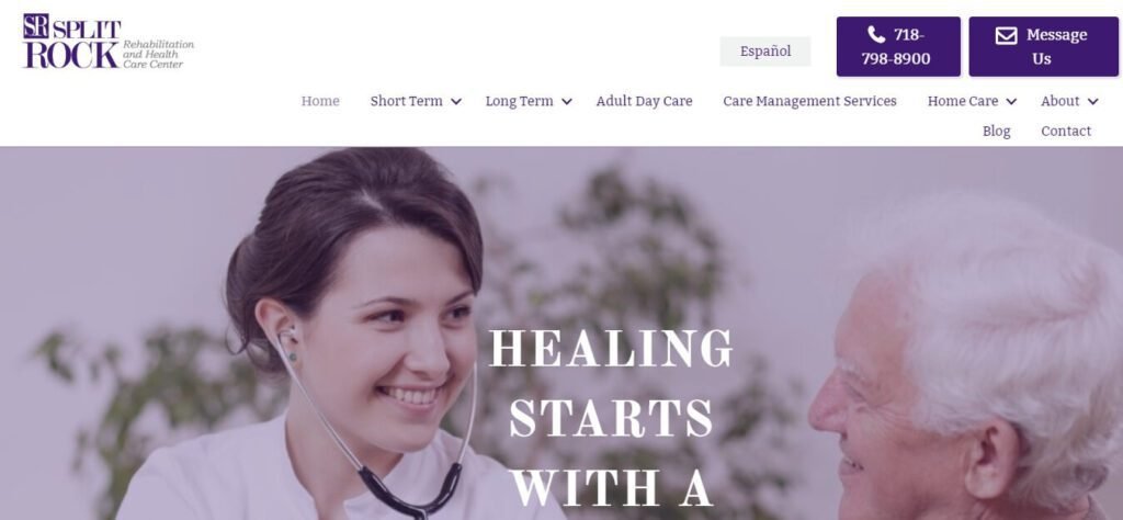 The Best Healthcare Website Designs & Medical Website Design Ideas (SplitRock) - ColorWhistle