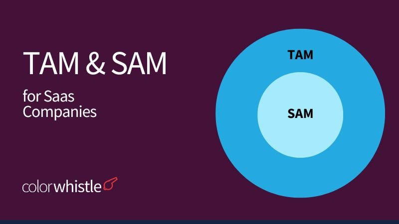 Importance of Sam and Tam For SaaS Companies - ColorWhistle
