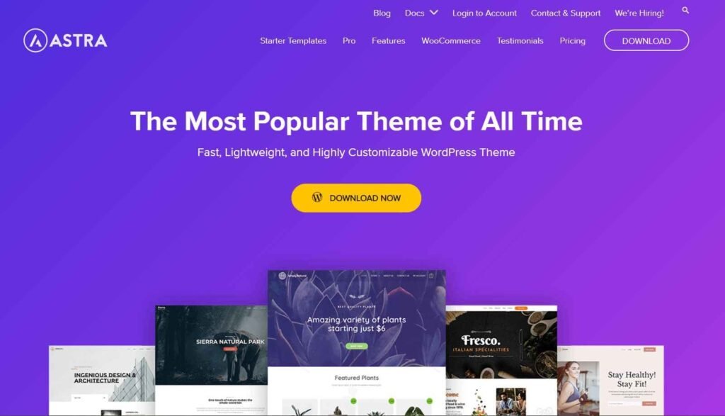 Top 10 WordPress Mobile-Friendly Themes - (Astra example one) - ColorWhistle