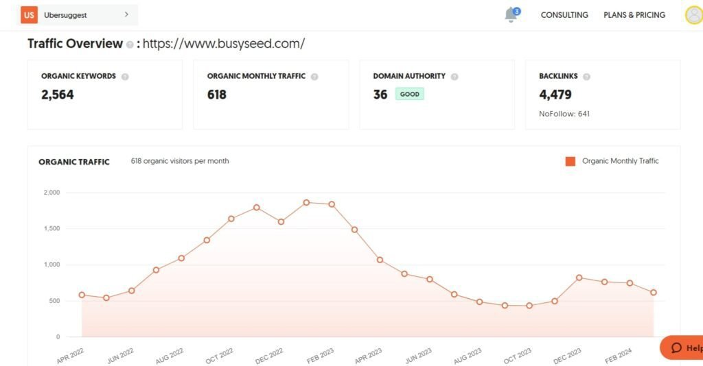 Top Growing Digital Agencies in New York, USA (BusySeed 1) - ColorWhistle