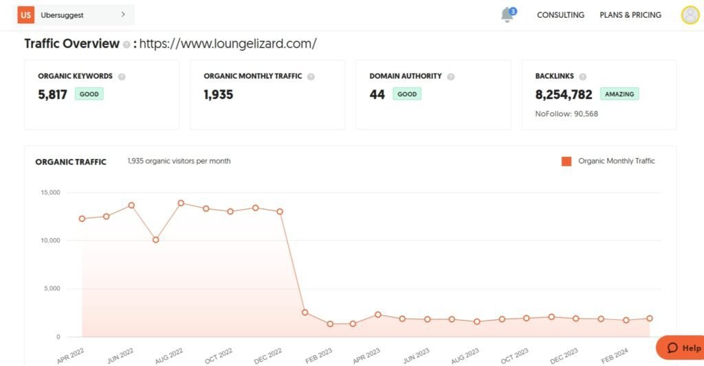 Top Growing Digital Agencies in New York, USA (Lounge Lizard 1) - ColorWhistle
