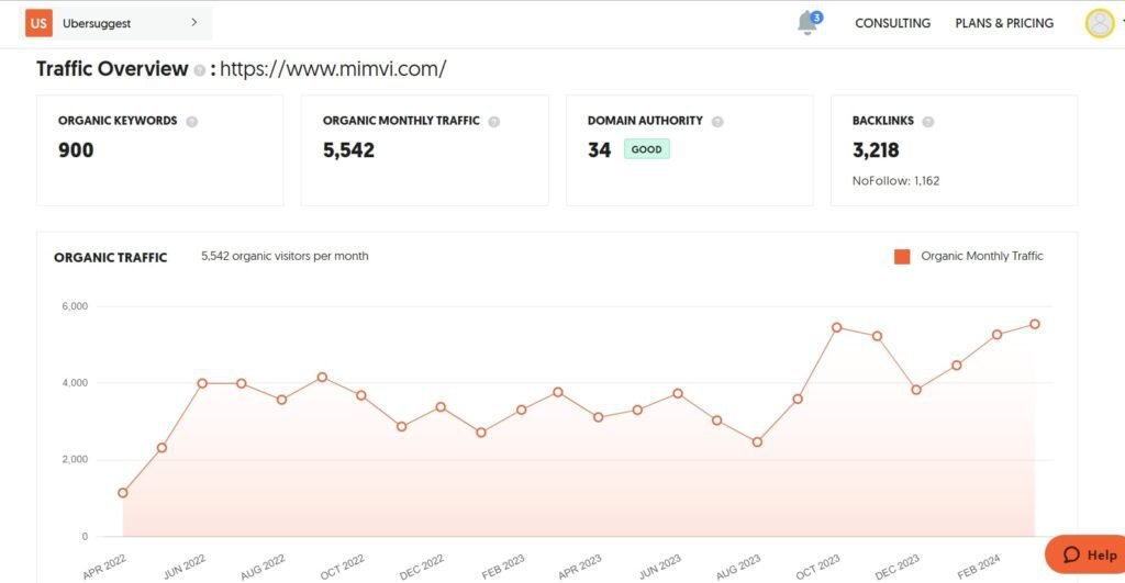Top Growing Digital Agencies in New York, USA (Mimvi 1) - ColorWhistle