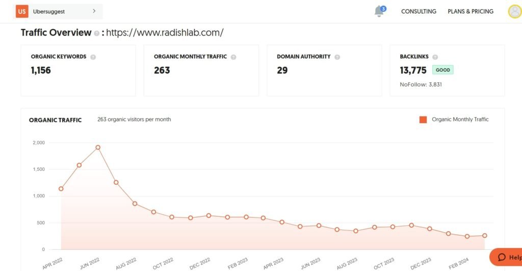 Top Growing Digital Agencies in New York, USA (Radish Lab 1) - ColorWhistle