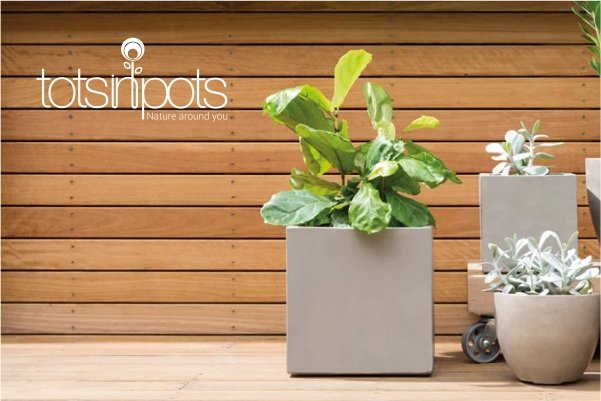Tots in Pots logo-design-portfolio Tots in Pots logo-design-portfolio