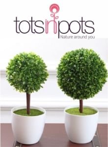 Logo Design for Tots in Pots Logo Design for Tots in Pots