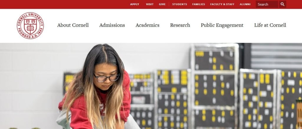 Transforming Travel Sectors with Custom Website Development Solutions (Cornell) - ColorWhistle