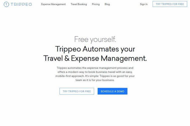 Travel website design and Tourism Booking Website Design Ideas (Trippeo) - ColorWhistle