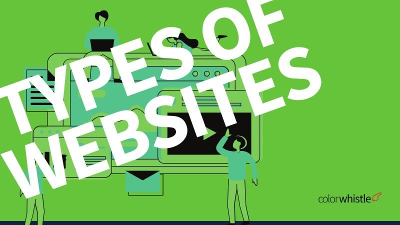 Types of Websites – Choose the Best for Your Needs