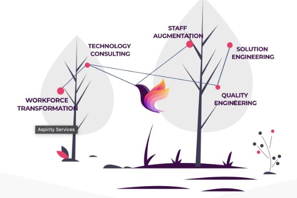 Website Development Process for Aspirity - ColorWhistle