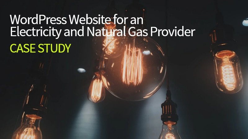 wordpress-website-for-natural-gas-provider-case-study