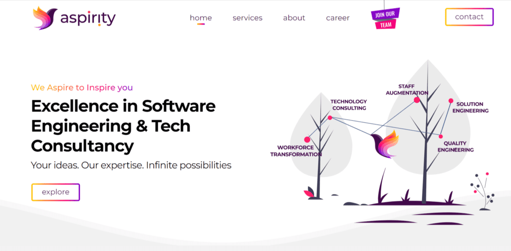 IT Consulting, Tech company Website Design, Website Development Case Study Ideas (Aspirity) - ColorWhistle