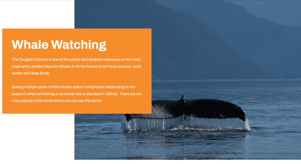 Tourism Web Design, Website Development Case Study Ideas (Kitimat) - ColorWhistle