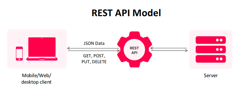 Modern WordPress Website Development Types (Rest API Model) - ColorWhistle