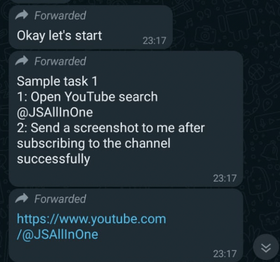 Scam - Fraud Circulation via WhatsApp for Marketing Services-victim screenshot2