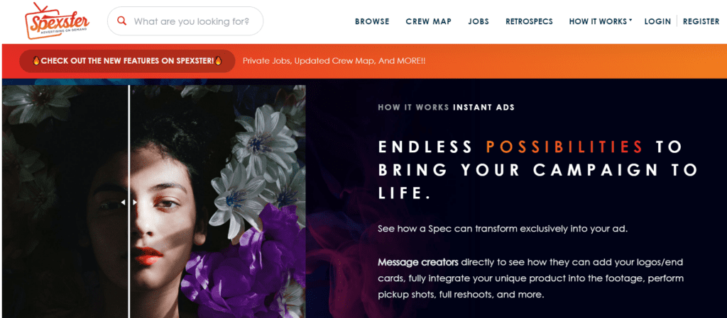 Web Design, Website Development Case Study Ideas (Spexster) - ColorWhistle