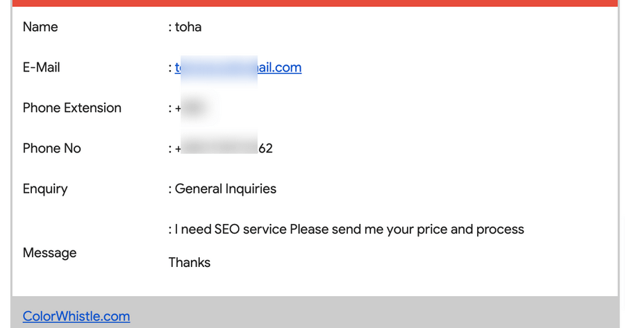SEO services vendor partnership inquiry via ColorWhistle 