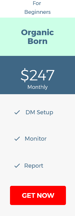 $247 Monthly Organic Digital Marketing Package Starter