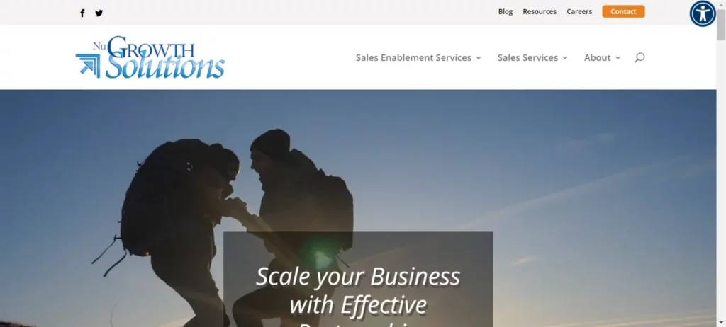 Marketing Automation Service Providers Around World (NuGrowth) - ColorWhistle