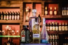 Travel & Tourism Types (Booze Cruise) - ColorWhistle