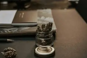 Travel & Tourism Types (Drug Tourism) - ColorWhistle